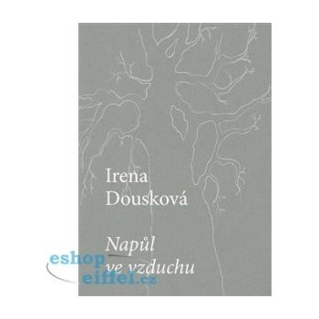 MARTIN REINER, Nakladatelství Druhé město Napůl ve vzduchu