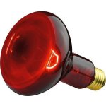 Philips R95 IR 100W E27 230V Red infra zdroj zdravotní – Hledejceny.cz
