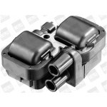 Zapalovací cívka BorgWarner (BERU) ZS297 – Hledejceny.cz