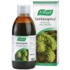 Doplněk stravy na imunitu A.Vogel Santasapina Sirup z čerstvého smrku 200 ml