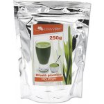 Zdravý den Mladá Pšenice 250 g – Hledejceny.cz