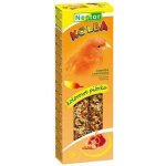 NESTOR Tyčink paprika a mrkev pro kanárky 85 g – Hledejceny.cz