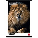 Pigna Animal školní sešit A4 linkovaný – Sleviste.cz