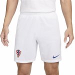 Nike CRO M NK DF STAD SHORT HM 2024