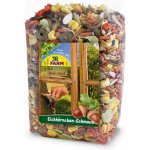 JR Farm Krmivo venkovní veverka 600 g – Sleviste.cz
