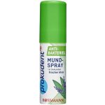 Prokudent Ústní sprej antibakteriální 15 ml – Zboží Mobilmania