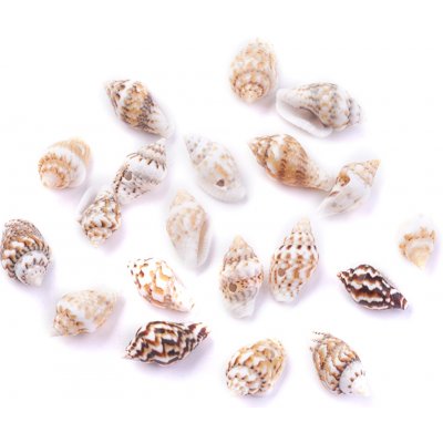 Přírodní nassa mini mušle - 10~15 x 6~9 x 6~9 mm - 1 ks – Zboží Dáma Přírodní nassa mini mušle - 10~15 x 6~9 x 6~9 mm - 1 ks – Zboží Dáma