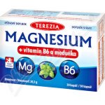 Terezia Magnesium + vitamin B6 a meduňka 30 kapslí – Hledejceny.cz