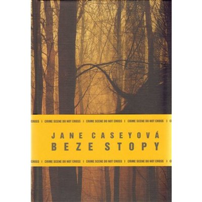 Beze stopy Jane Caseyová