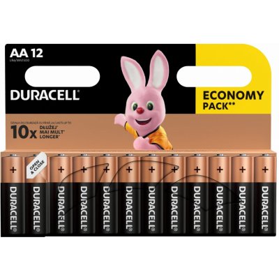 Duracell Basic 12ks AA 42305 – Zbozi.Blesk.cz