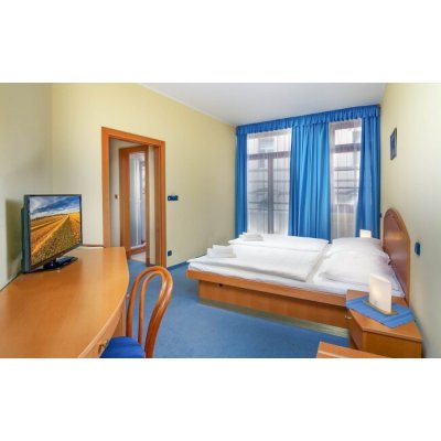 Karlovy Vary: 8 dní v Hotelu Růže **** s 15 léčebnými procedurami vstupem do Alžbětiných lázní plná penze 8dní pro 1 osobu – Hledejceny.cz