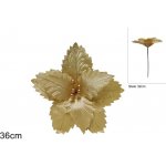 PROHOME Hvězda vánoční 34cm zlatá – Hledejceny.cz