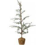 Bloomingville Umělý vánoční strom Vita 90 cm – Hledejceny.cz
