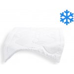 Brotex přikrývka duté vlákno Thermo 90x135 – Sleviste.cz