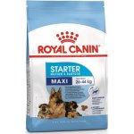 Royal Canin Maxi Starter Medium Breed 4 kg – Zboží Mobilmania