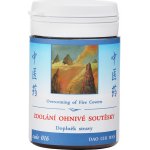 TCM Herbs Zdolání ohnivé soutěsky 100 tablet – Hledejceny.cz