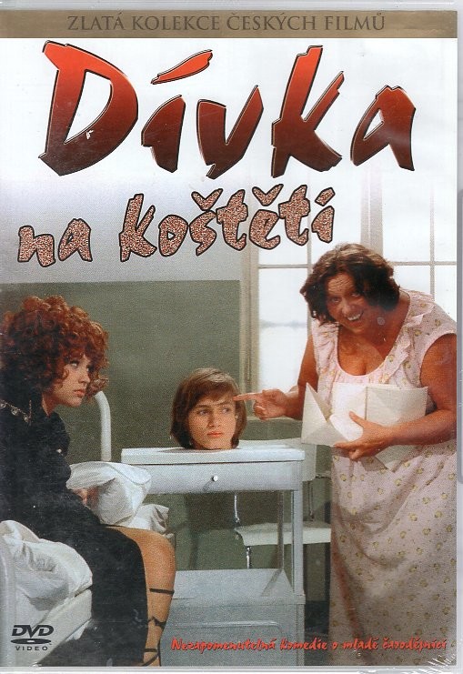 Dívka na koštěti DVD od 199 Kč - Heureka.cz