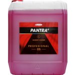 Pantra profesional 05 sanitární čistič 5 l – Zboží Mobilmania