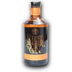 Albert Michler Gin Orange 44% 0,7 l (holá láhev) – Sleviste.cz