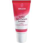 Weleda šalvějový balzám na dásně 30 ml – Hledejceny.cz