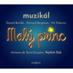 Muzikál - Malý princ CD – Hledejceny.cz