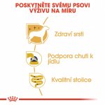 Royal Canin Adult Yorkshire teriér 85 g – Zbozi.Blesk.cz