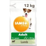 Iams Dog Adult Small & Medium s jehněčím masem 12 kg – Hledejceny.cz