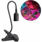 Kobi KB0429 – Zboží Dáma