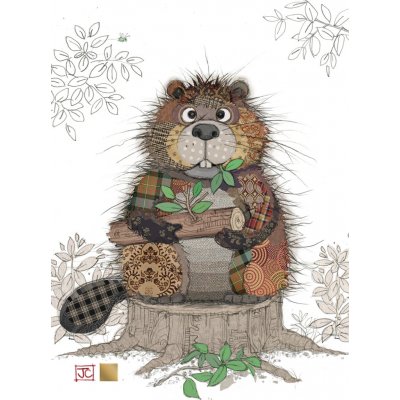 Přání G059 BUG ART KOOKS – Sleviste.cz