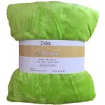 Homeville deka mikroplyš světle zelená 150x200 – Sleviste.cz