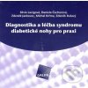 Kniha Diagnostika a léčba syndromu diabetické nohy pro praxi - CD - Silvie Lacigová, Daniela Čechurová a kolektív