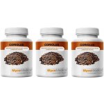 MycoMedica Coriolus Versicolor Outkovka pestrá 3 x 90 kapslí – Sleviste.cz