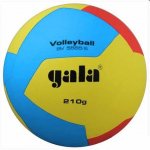 Gala Volleyball 10 BV5551S – Zboží Dáma