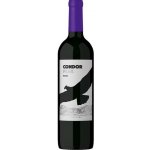 Andean Condor Peak Malbec 12,5% 0,75 l (holá láhev) – Hledejceny.cz