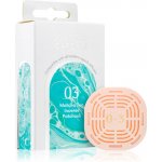 Mr&Mrs Fragrance aroma kapsle Queen 03 Matcha Tea Incense Patchouli 1 ks – Zboží Dáma