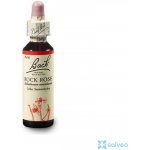 Bachovy květové esence Devaterník penízkovitý Rock Rose 20 ml – Hledejceny.cz