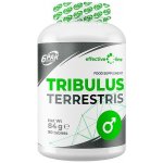 6PAK Nutrition Tribulus Terrestris 90 kapslí – Zboží Dáma