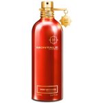 Montale Red Vetiver parfémovaná voda pánská 100 ml – Hledejceny.cz