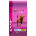 Eukanuba Adult Light Large Breed 15 kg – Hledejceny.cz