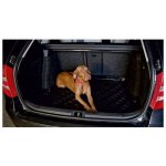 Extol Craft plachta PE nepromokavá standard 10x15m – Zbozi.Blesk.cz