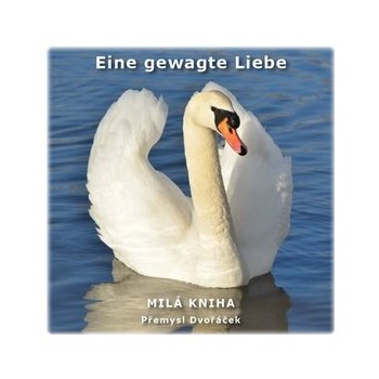 Eine gewagte Liebe