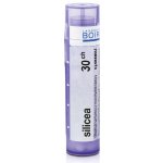 SILICEA POR 30CH GRA 4G – Hledejceny.cz