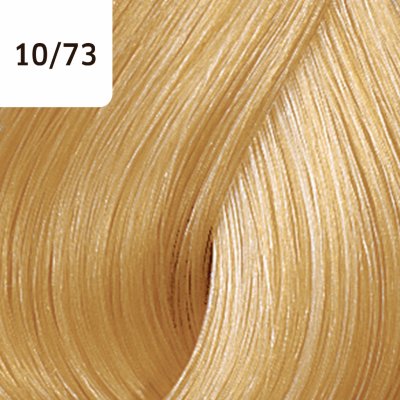 Wella Color Touch Deep Browns barva na vlasy 10/73 60 ml – Zboží Mobilmania
