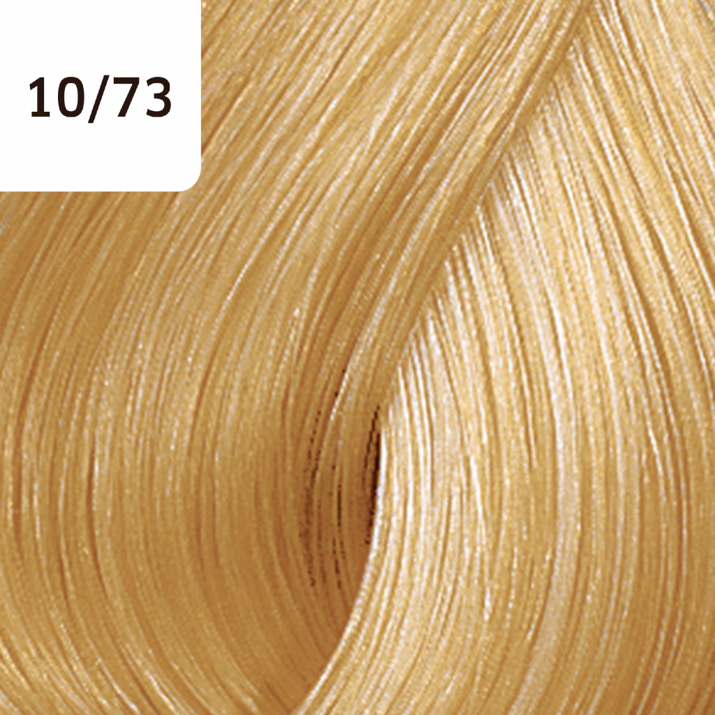 Wella Color Touch Deep Browns barva na vlasy 10/73 60 ml