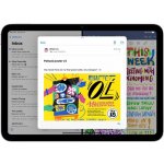 Apple iPad 10.9 (2022) 64GB Wi-Fi + Cellular Silver MQ6J3FD/A – Zboží Živě