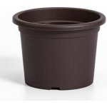 obal d19cm Narcis Čoko – Hledejceny.cz