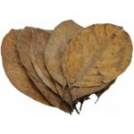 Ceramic Nature Listy Jack 20 ks – Hledejceny.cz