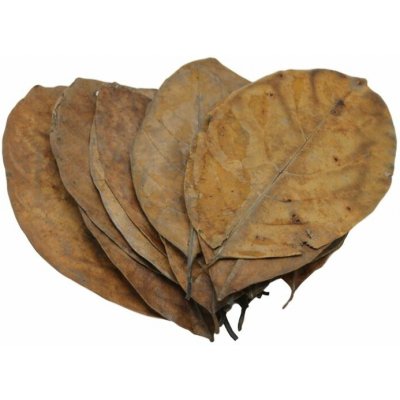 Ceramic Nature Listy Jack 20 ks – Hledejceny.cz