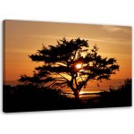 Gario Obraz na plátně Strom u moře při západu slunce Rozměry: 60 x 40 cm – Hledejceny.cz