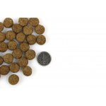 Marp Variety Grass Field Lamb 12 kg – Hledejceny.cz